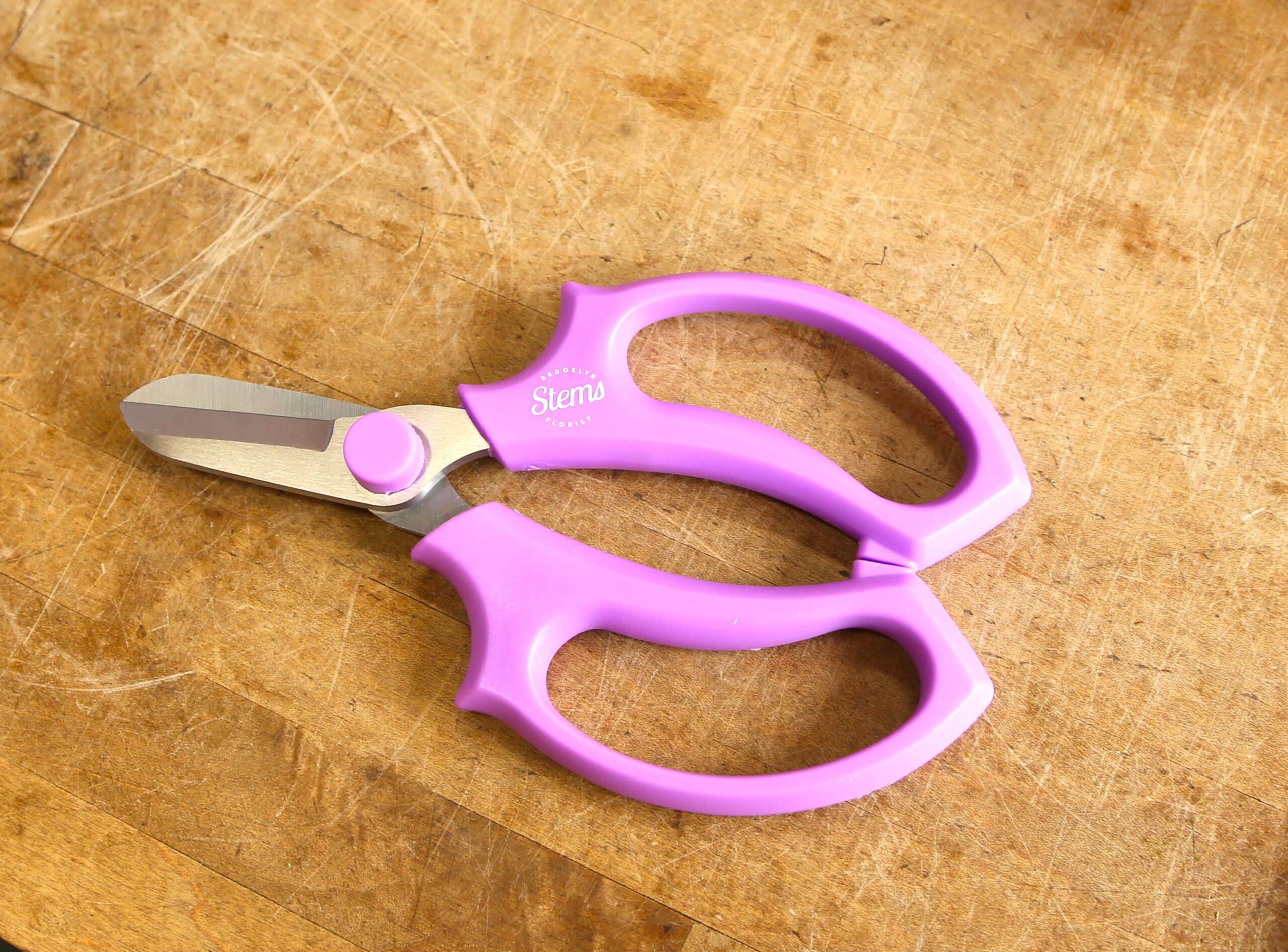 The Stems Floral Shears - Image 3